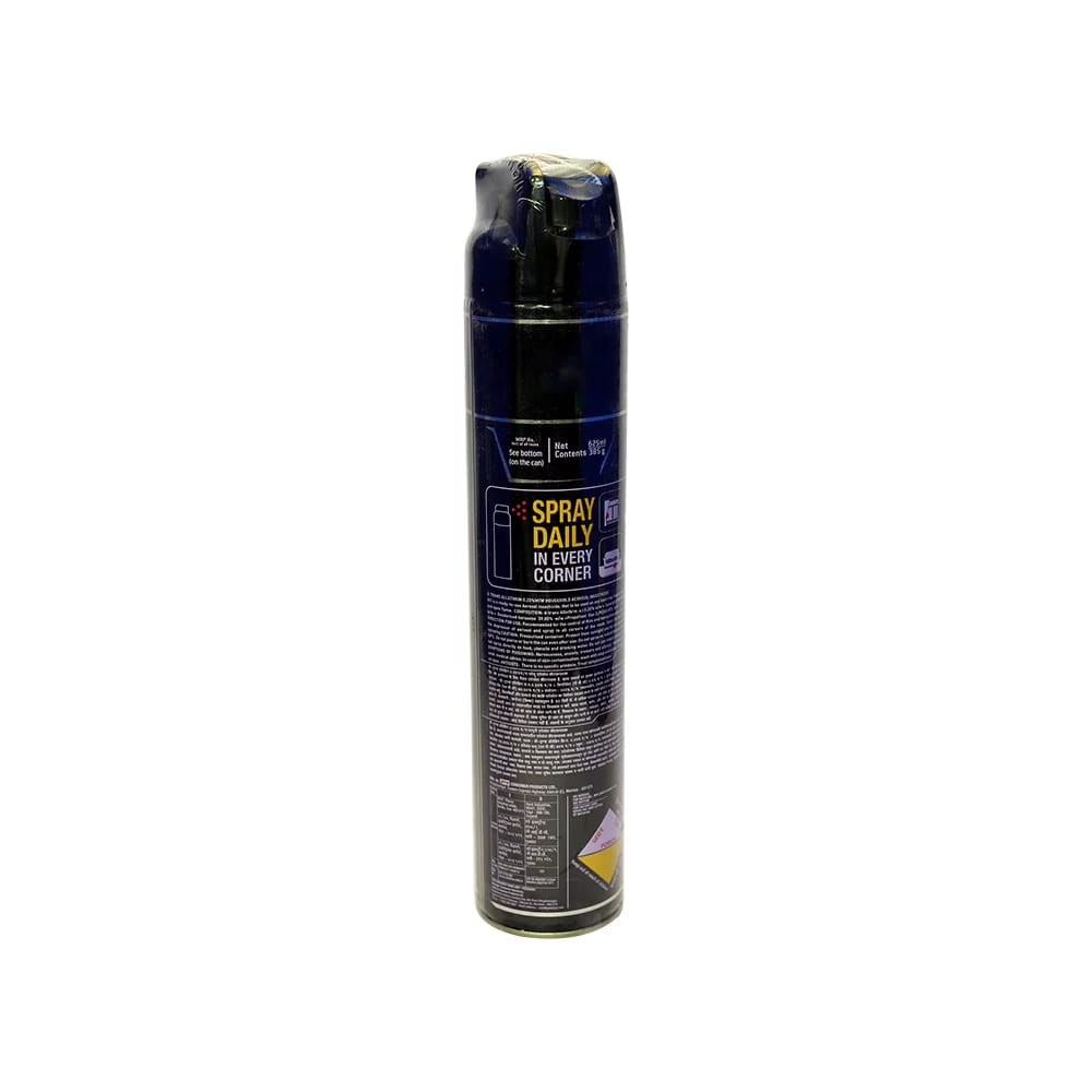 Hit Flies & Mosquitoes Black Insect Killer (Spray) 625 ml