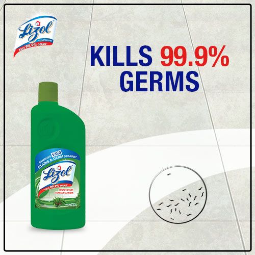 Lizol Floor Cleaner - Neem, 500 ml