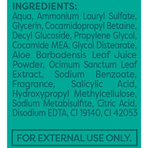 Himalaya Pure Hands Moisturizing Hand Wash - Tulsi & Aloe, 250ml Pump