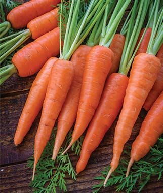 Carrot - Gajar 1 kg (only season)