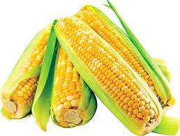 Local Corn (Bhutta), 1 Kg
