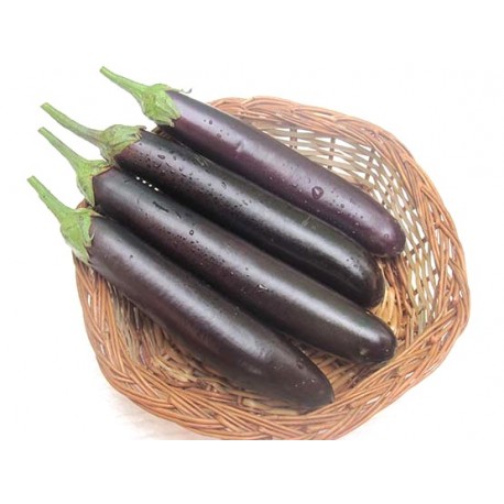 Brinjal long - Baigan 500 g