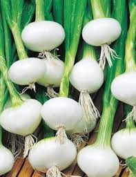 Spring Onion - Patta Payaz , 500g