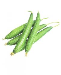 Ridge Gourd - Nenuaa 1kg