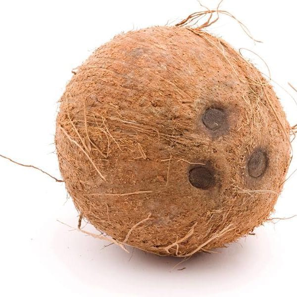 Coconut - Large 1 Pc