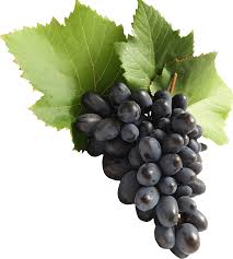 Black Grapes (only season)