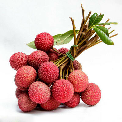 Lychee,1 Kg (only season)