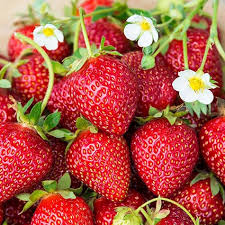 Strawberry 200 g
