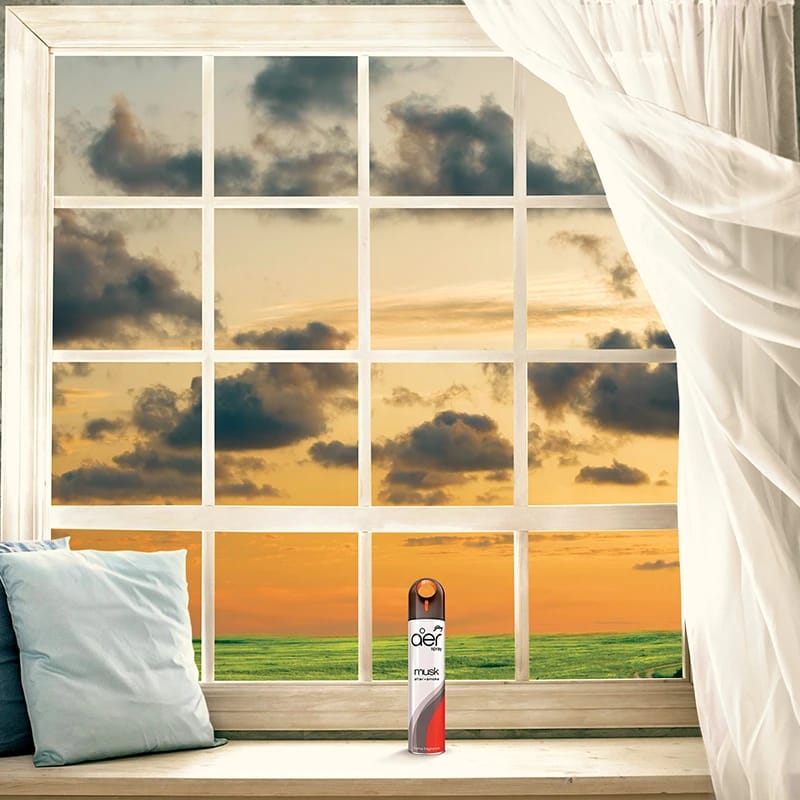 Godrej aer spray, home & office air freshener musk after smoke 240ml