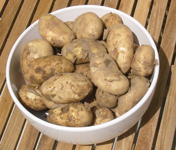 New Potato, 1 Kg
