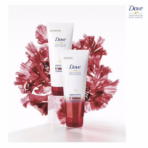 Dove Shampoo - Regenerative Repair, 240 ml