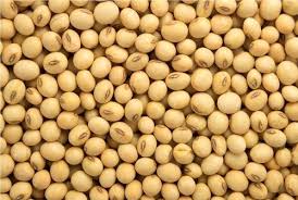 Soya Bean, 1kg