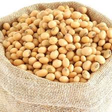 Soya Bean, 1kg